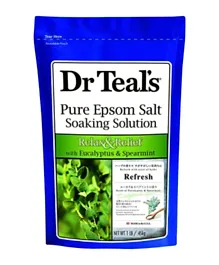 Dr Teals Epsom Bath Salt Eucalyptus & Spearmint - 450g