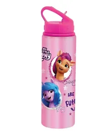 My Little Pony Aluminum Premium Water Bottle - 650mL