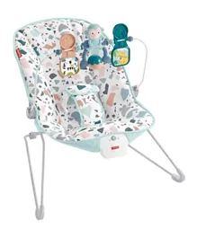 Fisher-Price GWD38  Basic Rocker with Soothing Vibrations