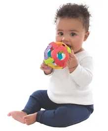 Playgro Shake Rattle and Roll Ball for Baby - Multicolour