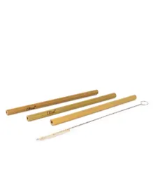 Citron Organic Bamboo Straws & Brush - Pack of 4