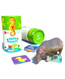 Shifu Boat Safari AR Educational 4D Game for Toddlers - Multi Color