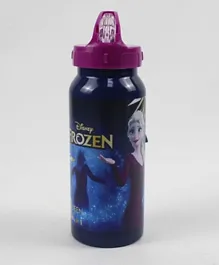 Frozen Glory Stainless Steel Water Bottle - Blue