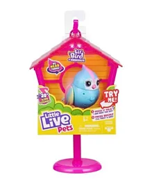 Little Live Pets Lil' Bird & House Rainbow Tweets - Multicolour