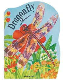 Metamorphoses Dragonfly - English