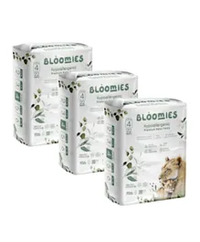 Bloomies Hypoallergenic Premium Pant Style Baby Diapers Size 4 Pack of 3 - 66 Pieces