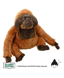 Wild Planet Orangutan Soft Toy - Brown