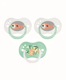 Tigex Silicone Pacifiers Day & Night - Pack of 3