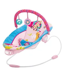 Mastela Infant Baby Rocker - Pink & Blue