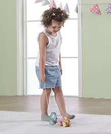 PolarB Twisting Pull Along Toy