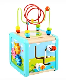 Tooky Toy Wooden Play Cube -Multi Color