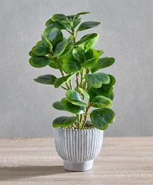 HomeBox Helena Fiddle Leaf Faux Plant with Ceramic Pot