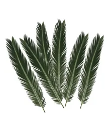CherryPick Eco Dried Palm Leaves - 6 Pieces