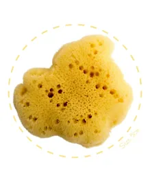 Babu Fine Silk Sea Sponge 100% Natural - Size 5