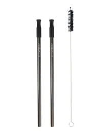 ECOVESSEL Stainless Steel Straw 2 Pack - Black Shadow