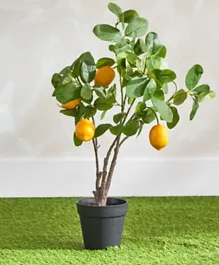 HomeBox Clarey Artificial Lemon Tree With Pot