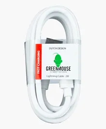HomeBox Green Mouse Lightning Data Cable