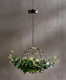 هوم بوكس - أصيص الزهور المعلق بالطاقة الشمسية مع أضواء
