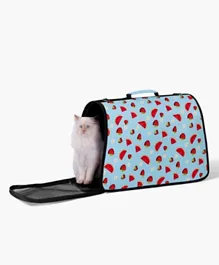 HomeBox Feline Fruity Pet Carrier Bag Small - Blue