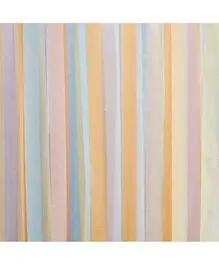 Ginger Ray Pastel Streamer Party Backdrop - Multicolor