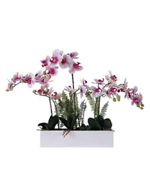 PAN Home Artificial Orchid In Wooden Case