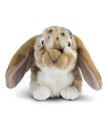 أبيل دمية أرنب هولندي ذو أذنين منحنيتين لون بني - 26 سم