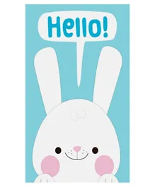 Factory Price Hello Bunny Playmat for Kids Room - White and Blue
