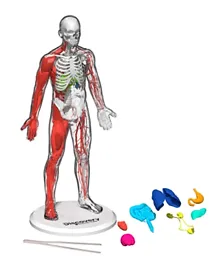 Discovery Mindblown Human Anatomy Kit STEM 3D Puzzle - 28 Pieces