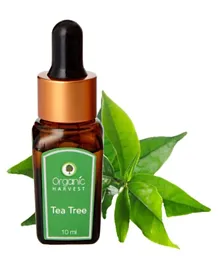 Organic Harvest Tea Tree Essential Oil - 10 ml