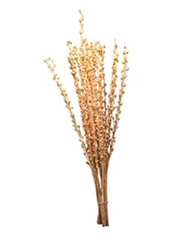 CherryPick Pearl Golden Sticks - 10 Pieces