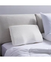 PAN Home Orthocare Memory Foam Pillow