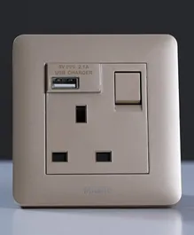 Danube Home Milano 13A Single Switched Socket Neon With Usb Gd Ps
