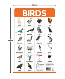 مخطط جداري للطيور - باللغة الإنجليزية