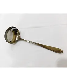 Winsor Stainless Steel - Ladle - Silver