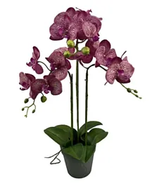 تنسيق زهور الأوركيد من بان هوم مع إناء باللون الأرجواني - 65 سم