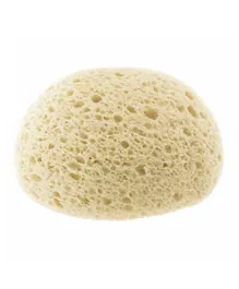 Chicco Extra Absorbent Sponge - Cream