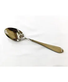 Winsor 18/10 Stainless Steel Serving Spoon Proud - Silver