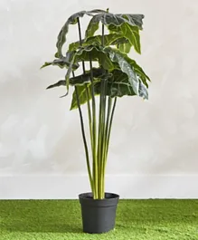 هوم بوكس كلاري آلوكازيا نبات صناعي مع أصيص