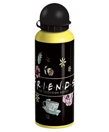 Friends Metal Insulated Water Bottle - 500ml