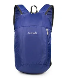 Alameda Travel lite Diaper Bag -Blue