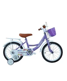 MYTS JNJ Kids Bicycle With Basket - Purple
