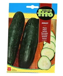 Fito Cucumber Ashley Seeds