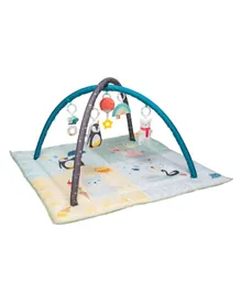 Taf Toys Music & Light Thickly Padded Play Gym - Multicolor