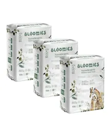 Bloomies Hypoallergenic Premium Pant Style Baby Diapers Size 5 Pack of 3 - 66 Pieces