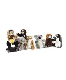 National Geography Hand Puppet Pack of 1 - Assorted Colors and Designs