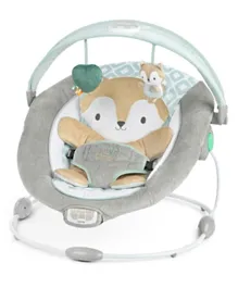 Ingenuity InLighten Baby Bouncer Seat - Kitt