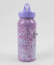 Frozen Discover The Truth Stainless Steel Water Bottle - 500mL