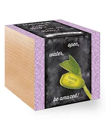 Eco Cube Message-Mix kids Plant with Planter - Thank You