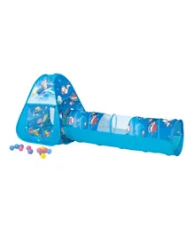 Ching Ching Ocean Play House & Tunnel - 100 Pieces of Balls
