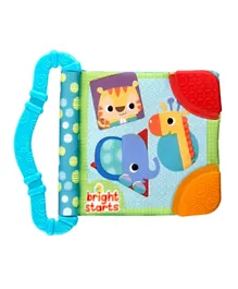 Bright Starts  Teethe  and Read - Assorted